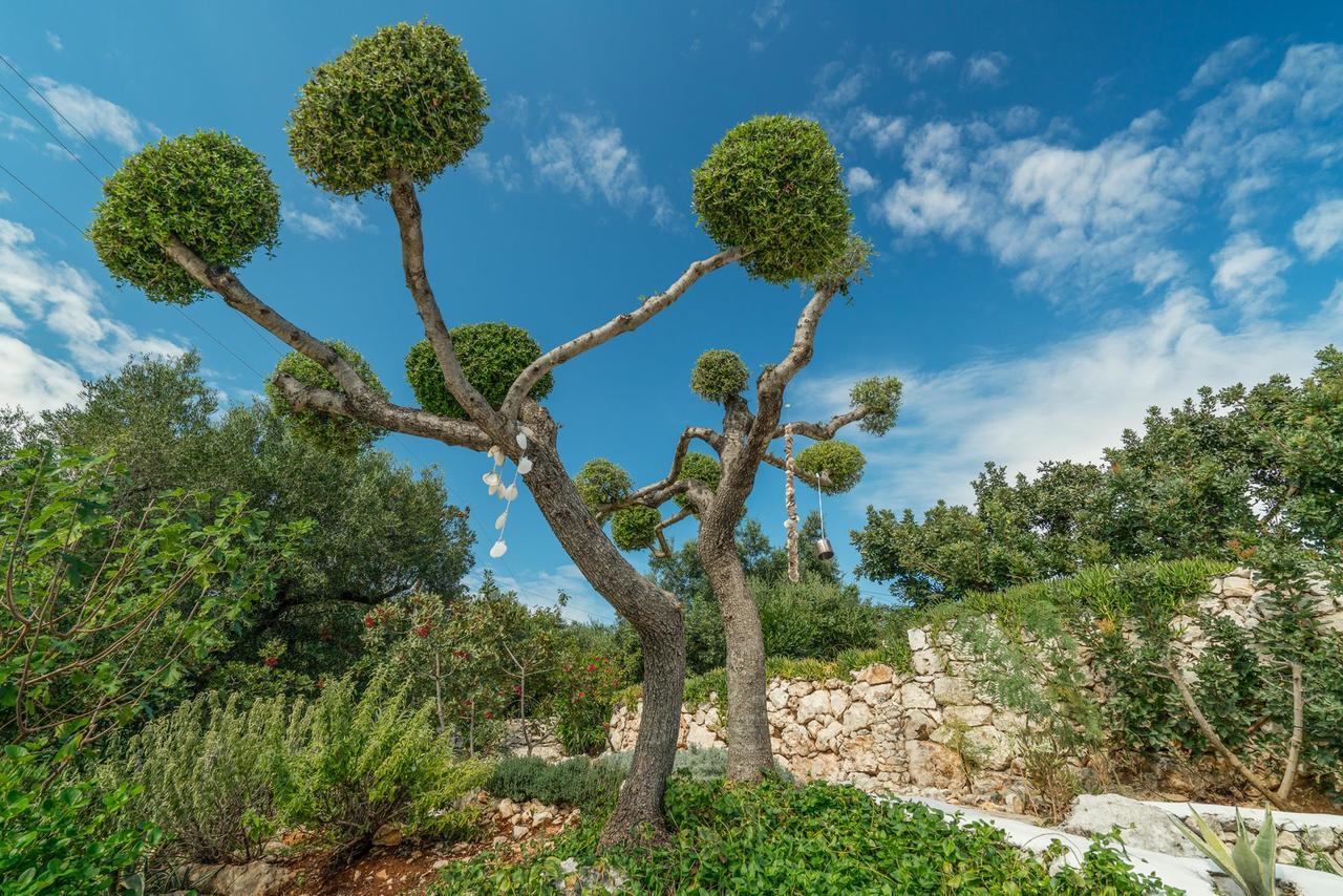 Askos Stone Villa - The Island Panorama อายิโอสนิโกลาโอส ภายนอก รูปภาพ